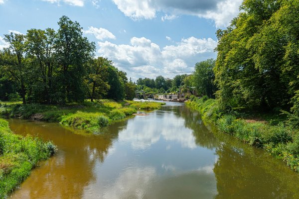 Wie beeinflusst Wassertrinken den Gewichtsverlust?
